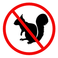 Rodent Removal Columbia South Carolina,  Rodent Animal Control, Blythewood Wild life Removal